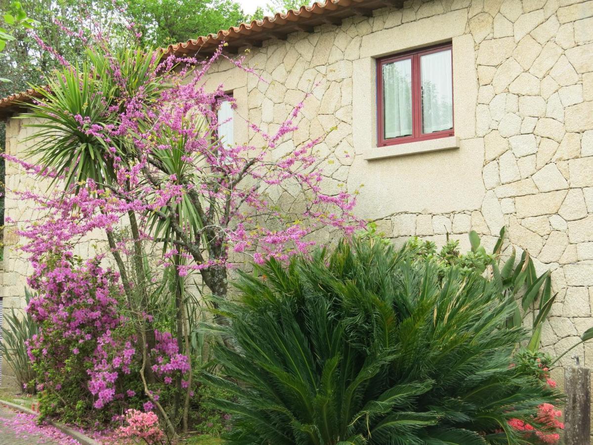 Вилла Casa Dos Tinocos Брага Экстерьер фото