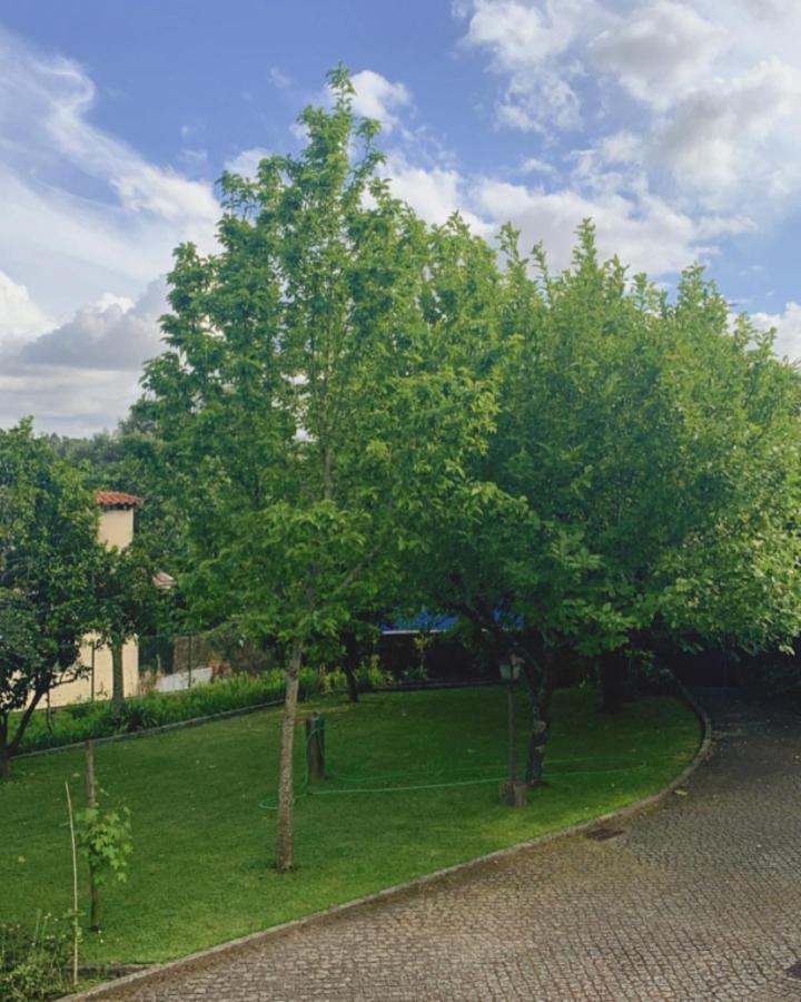 Вилла Casa Dos Tinocos Брага Экстерьер фото